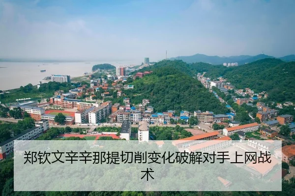zheng-qin-wen-xin-xin-na-ti-qie-xiao-bian-hua-po-jie-dui-shou-shang-wang-zhan-shu-3-259.jpg