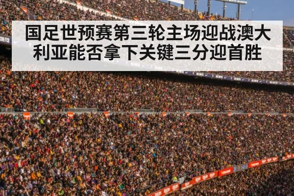 football stadium crowd