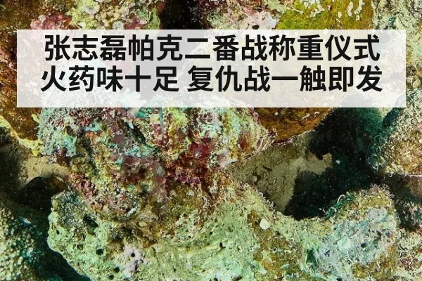 张志磊帕克二番战称重仪式火药味十足 复仇战一触即发